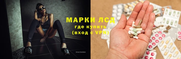 мяу мяу мука Арсеньев