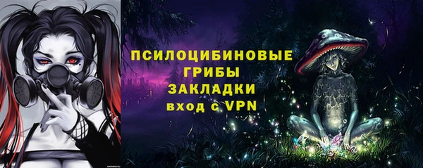 мяу мяу мука Арсеньев